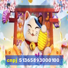 cnpj 51365893000100